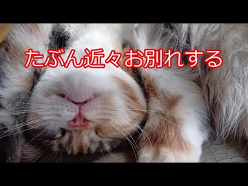 【保有銘柄の一覧を紹介】#9 とろい私の株生活│日記