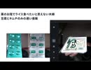 薬のお陰でライス食べたいと思えない　木綿豆腐とキムチのみの遅い昼飯