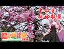 【日帰り旅行祭N 2026】中山寺梅林散策【茜ちゃんとふらっと散歩】
