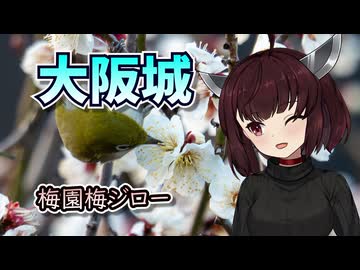 東北きりたんと見る、朝焼けの梅ジロー S1IIで撮り歩く