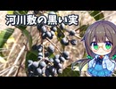 冬に生りまくるたわわな実をお茶にする