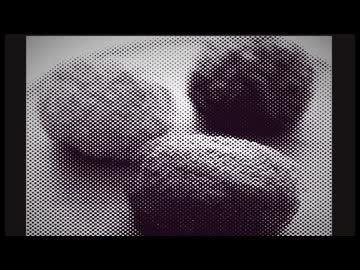 Tiおはぎ