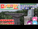【日帰り旅行祭N 2026】日本最南端波照間島　後編【VOICEROID旅行】【琵琶湖住まいの琴葉姉妹は旅に出たい】