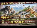 富士山に生息する全ての動植物。 果たして。 何十トンになるのか そしてその全ての可食部を富士宮の人々が頂いたとしたら、 果たして何日の食料になるのかフェルミ推定試算してみた