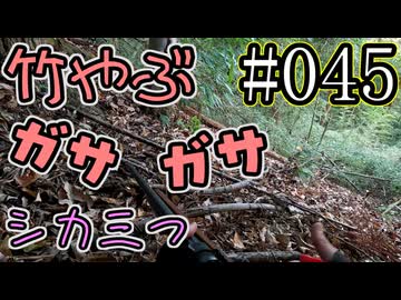 狩猟勢子動画＃045　竹やぶガサガサ シカ三つ