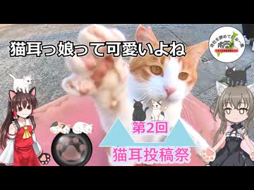 【第二回猫耳投稿祭】猫耳っ娘って可愛いよね