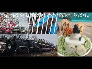 梅小路公園で鉄分水分摂取するだけ。