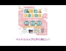保護ねこの家譲渡会 in 天王寺