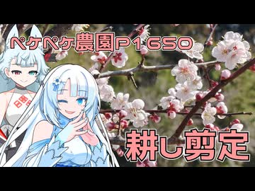2026年2月28日　農作業日誌P1650　ドロドロな畑を耕したり、お山で剪定ですね