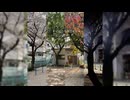 さくらいろの日々に full