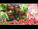 【異世界飯】「チューリップの花束」私すごく楽しみにしてたんだよ