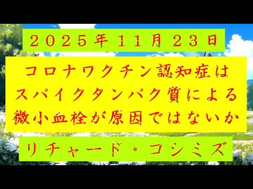 ◐「 リチャード・コシミズ ：『 コロナワクチン認知症 』は、『 スパイクタンパク質 』による『 微小血栓 』が『 原因 』ではないか 」