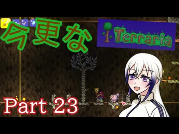 【Terraria】今更なテラリア　その23