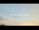 The Life Is Meaningless