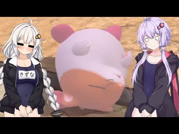 【カービィのエアライダー】ゆづきずエアライダー #26