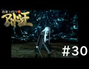 #30『デビルサマナー葛葉ライドウ対アバドン王』実況プレイ