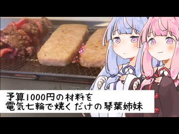 予算1000円で変色した玉ねぎと切り落としの半額牛もも肉と形成肉を焼いて食べる琴葉姉妹【VOICEROID劇場】