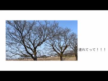 連れてって！！！ / 唄音ウタ(デフォ子)