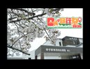 【日帰り旅行祭N2026】旧日光街道 徒歩の旅 第4宿 幸手宿からつくば道追分まで