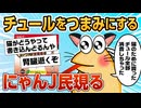 【2ch面白スレ】ワイ、チャオチュールが美味すぎて愛猫の分まで食べてしまう【ゆっくり解説】