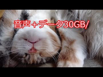 【スマホ代１年無料の株主優待】#10 とろい私の株生活│日記