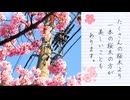 【2026年春の特別企画】大横川親水公園周辺で河津桜を探した（第５話）