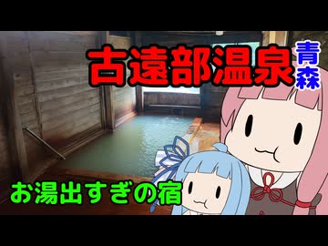 ほとんど洪水の温泉【VOICEROID旅行 温泉姉妹 琴葉の湯】