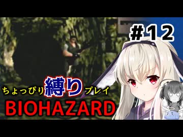 ちょっぴり縛りで【バイオハザード】を一人と一羽がプレイ part12