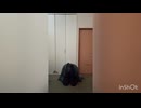 【思い付きで】不死身ごっこ【踊ってみました】