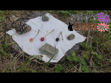 【アウトドア淫夢投稿祭2026】初夏に生るあの木の実を食べてみよう