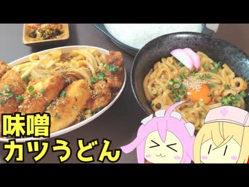 #239 味噌カツ煮込みうどん 【ナースロボ＿タイプＴ＆四国めたん】