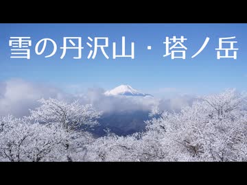 【ゆるふわ】雪の丹沢山・塔ノ岳RTA