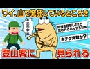【2ch面白スレ】ワイ、山で発狂してるところを登山客に見られてしまう【ゆっくり解説】