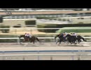 ジューンエオス　小倉・早鞆特別　2026年2月28日
