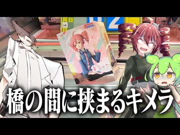売出し中の二人の景品を取るタカハシ【クレーンゲーム】