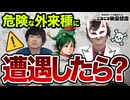 【コラボ】危険な外来種を見つけた時どうしたらいい？【マーシーの獲ったり狩ったり】