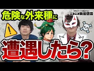 【コラボ】危険な外来種を見つけた時どうしたらいい？【マーシーの獲ったり狩ったり】