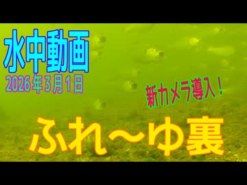 水中動画（2026年3月1日）in　ふれーゆ裏