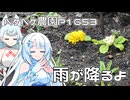 2026年3月3日　農作業日誌P1653　雨が降っていてメガネを取りに行った後に何があったかな？