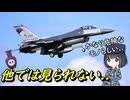 なぜF-16戦闘機はヒドラジンを搭載しているの？