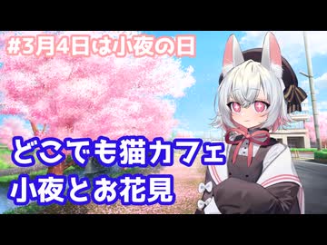 【#3月4日は小夜の日】小夜とどこでも猫カフェ！お花見をしよう【VOICEVOX劇場】【小夜-SAYO-】