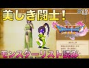 【DQXIS】ドラクエXI Sモンスターリスト読み&ドット絵 #12 仮面姿もまた良き！マルティナ！【ドラゴンクエストXI S】(ネタバレ注意)