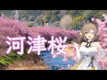 河津桜を撮りに行こう！