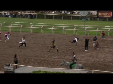 ホモと見るペルーで開催されたウマ娘レース