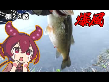 【#あんこもん誕生祭2026】爆風が吹いたらスピナーベイト。第２８話【温故知新２】