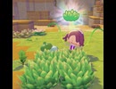 【ぽこあポケモン】フシギダネとの出会い このはを覚える
