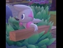 【ぽこあポケモン】ドッコラーとの出会い