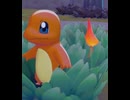 【ぽこあポケモン】ヒトカゲとの出会い たきびに火をつけてもらう
