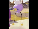 【ぽこあポケモン】フワンテとの出会い