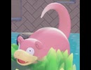 【ぽこあポケモン】ヤドンとの出会い